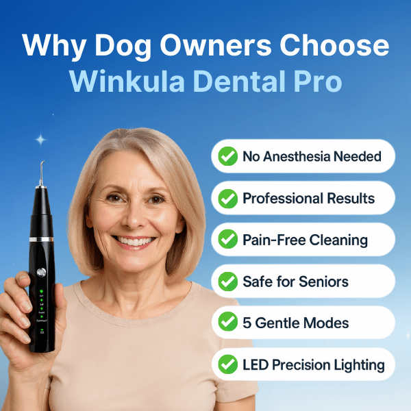 Winkula Dental Pro