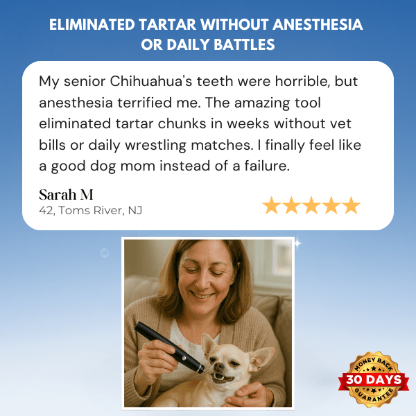 Winkula Dental Pro