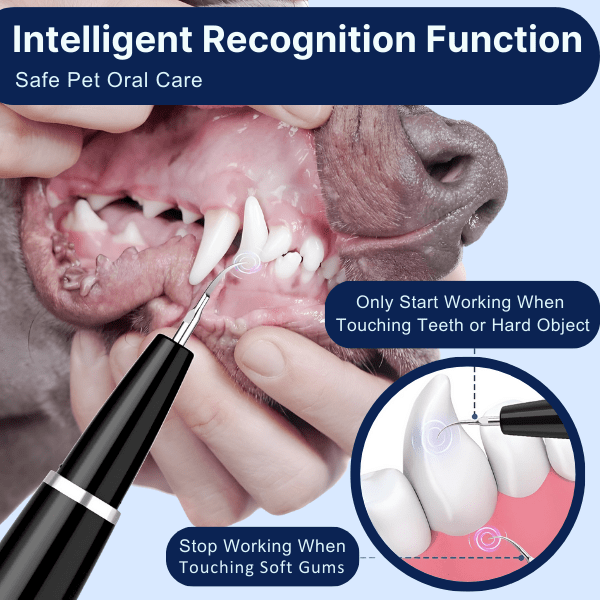Winkula Dental Pro