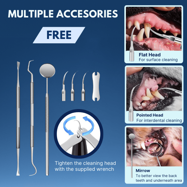 Winkula Dental Pro