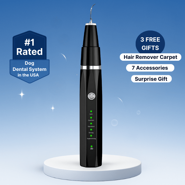 Winkula Dental Pro