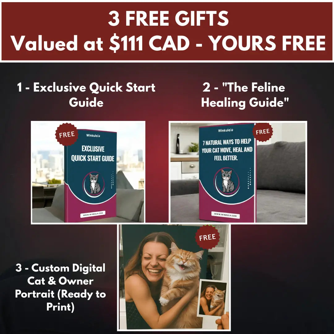 Winkula Cat Pro
